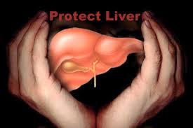 Cara Alami Mengobati Penyakit Liver