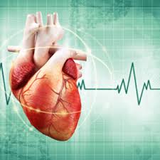 Obat Sakit Jantung Berdebar Debar